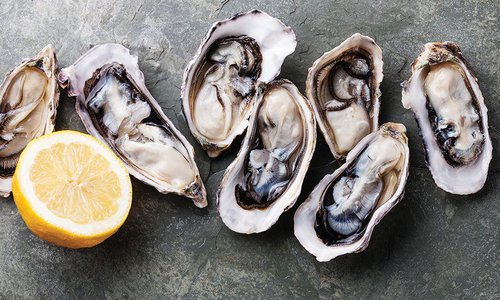 raw oysters