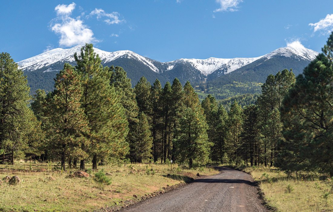 Mountains in Flagstaff, Arizona