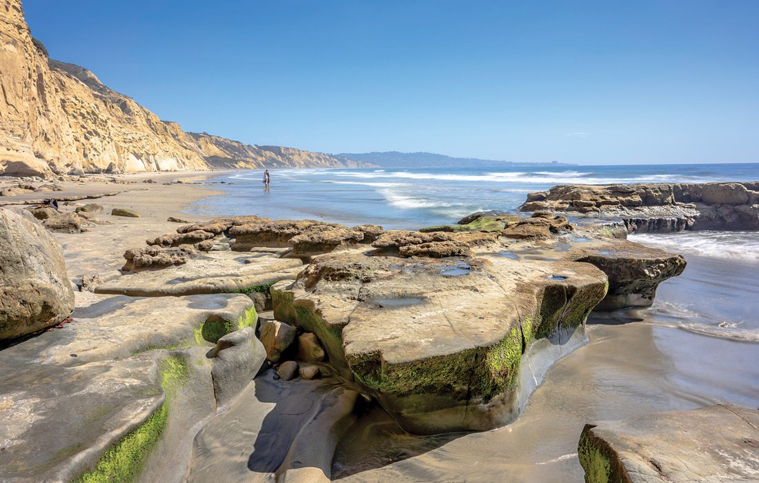 Torrey Pines State Beach