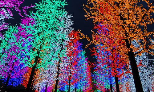 Christmas Light Display