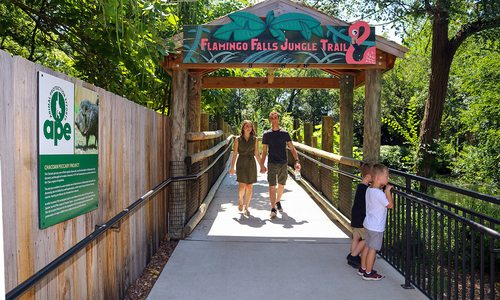 5 Best Places to Take the Kids on Spring Break