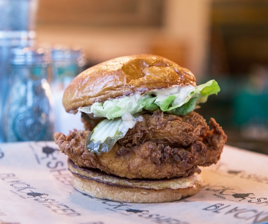 Lost Your Mind fried chicken sandwich at Black Sheep Burgers and Shakes.