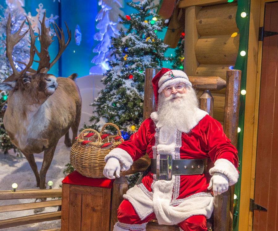 Sit on Santa's lap at Bass Pro Shops.