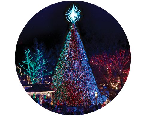 Christmas tree at Silver Dollar City's Christmas festival.