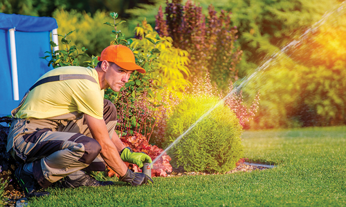 All About Irrigation and Sprinkler Systems