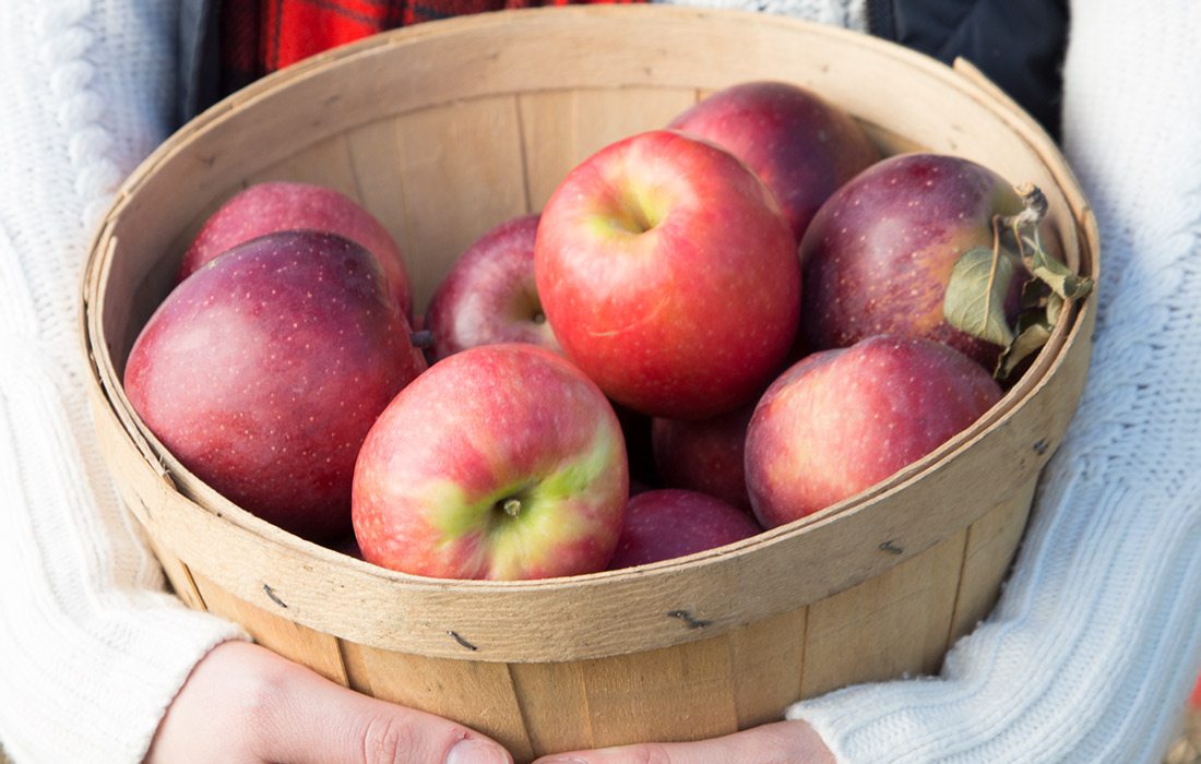 Basket of apples