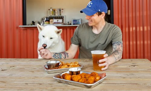Dog at the Bark Yard in Springfield MO
