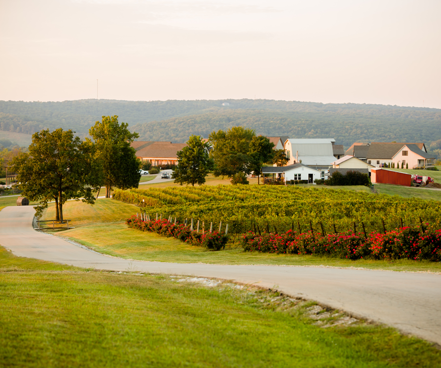 Sip wine at Chaumette Vineyard & Winery.