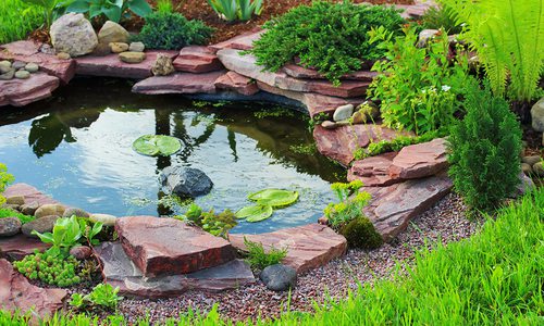 backyard pond