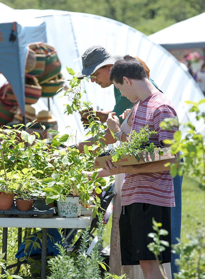 Baker Creek Planting Festival in Mansfield, MO