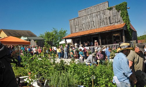 Baker Creek's Spring Planting Festival