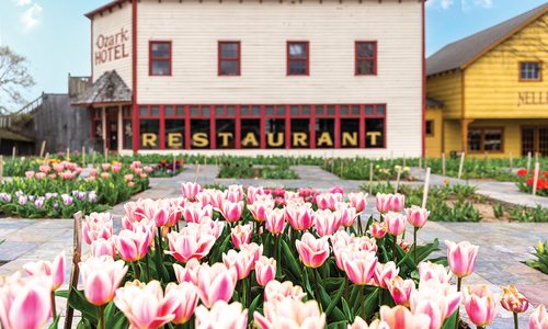 Visit Baker Creek for the Annual Flower Festival