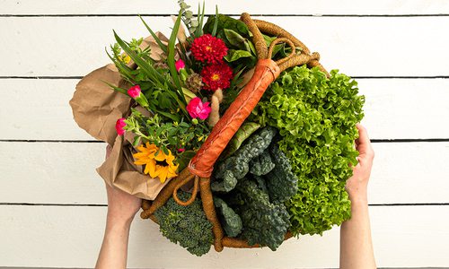 Basket of locally grown produce