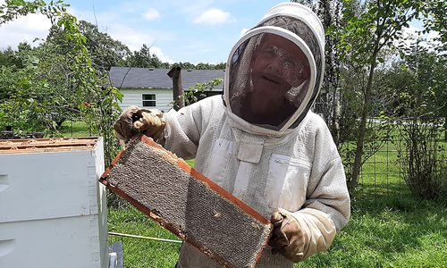 Man in beekeeping suit holding a beehive