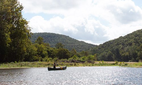 Canoe or float down Kings River in Arkansas