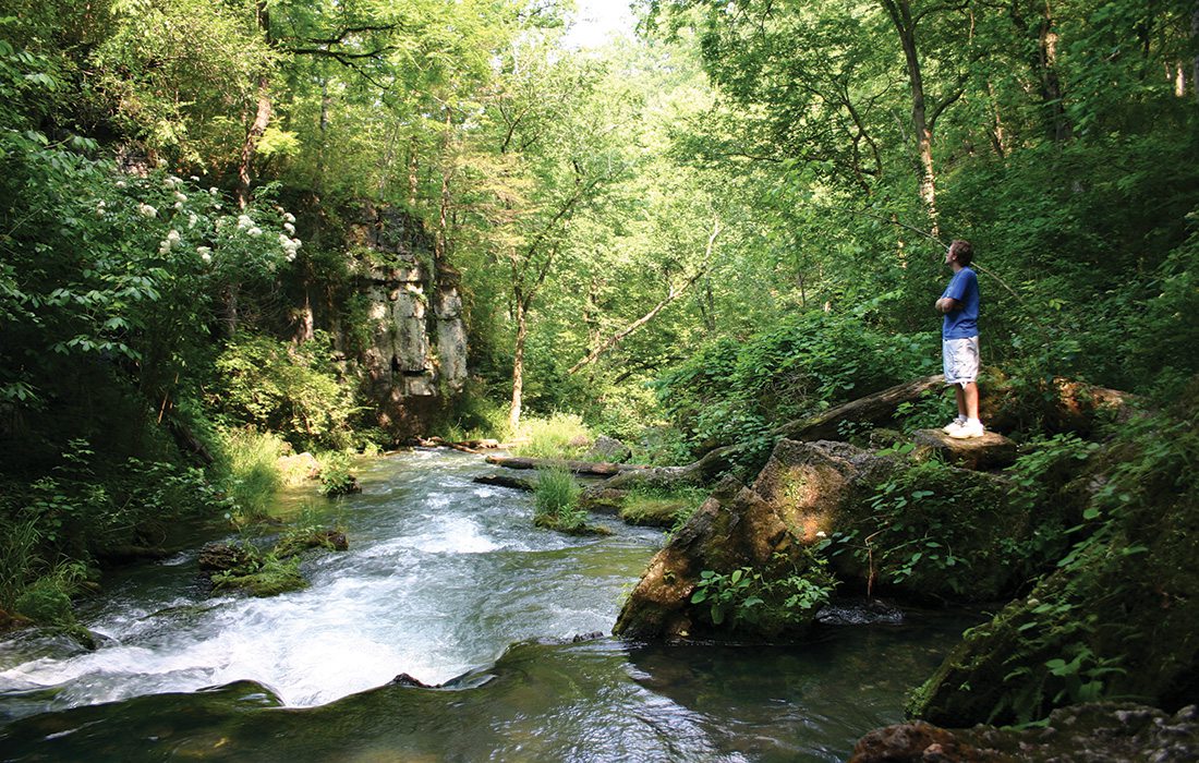 Greer Spring at Eleven Point