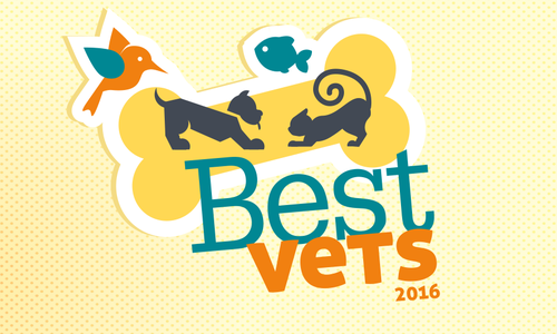 Best Vets 2016