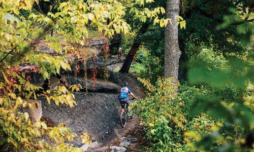 Mountain bike trail