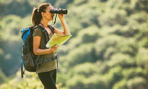 Birding for Beginners