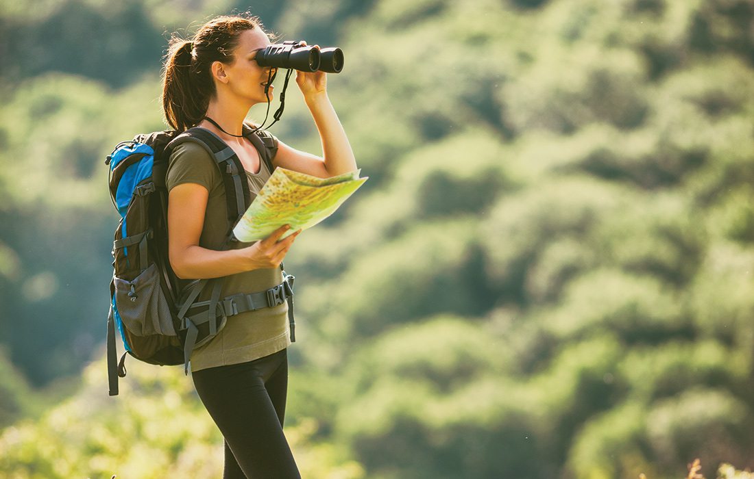 Bird-watching - Shutterstock