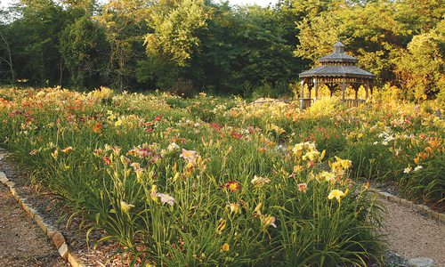 Springfield Botanical Gardens