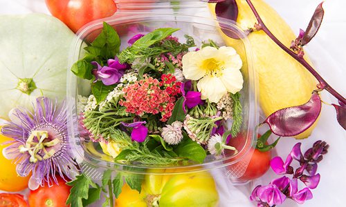 D.I.Y. Botanical Bites