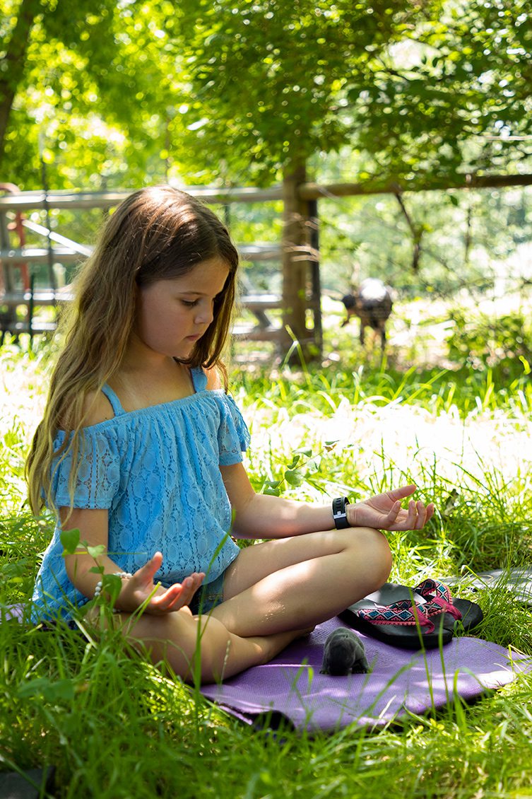 Bunny Meditation at Herding Dogs Farm in Rogersville, MO.