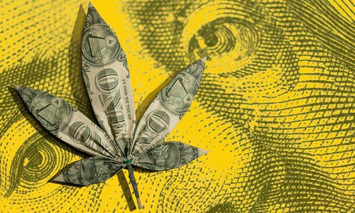 Business of Pot banner image
