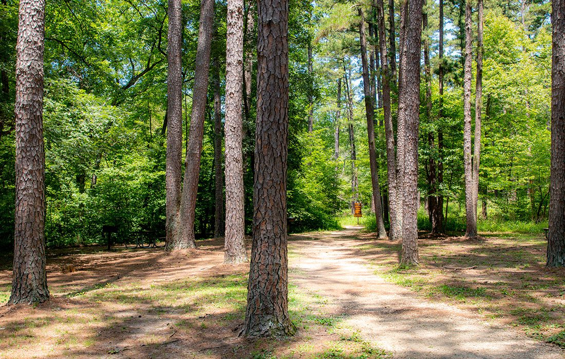 Pickle Creek Trailhead at Hawn State Park