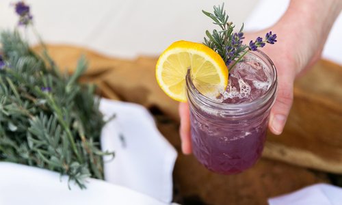 Cocktail at Urban Roots Farm in Springfield MO
