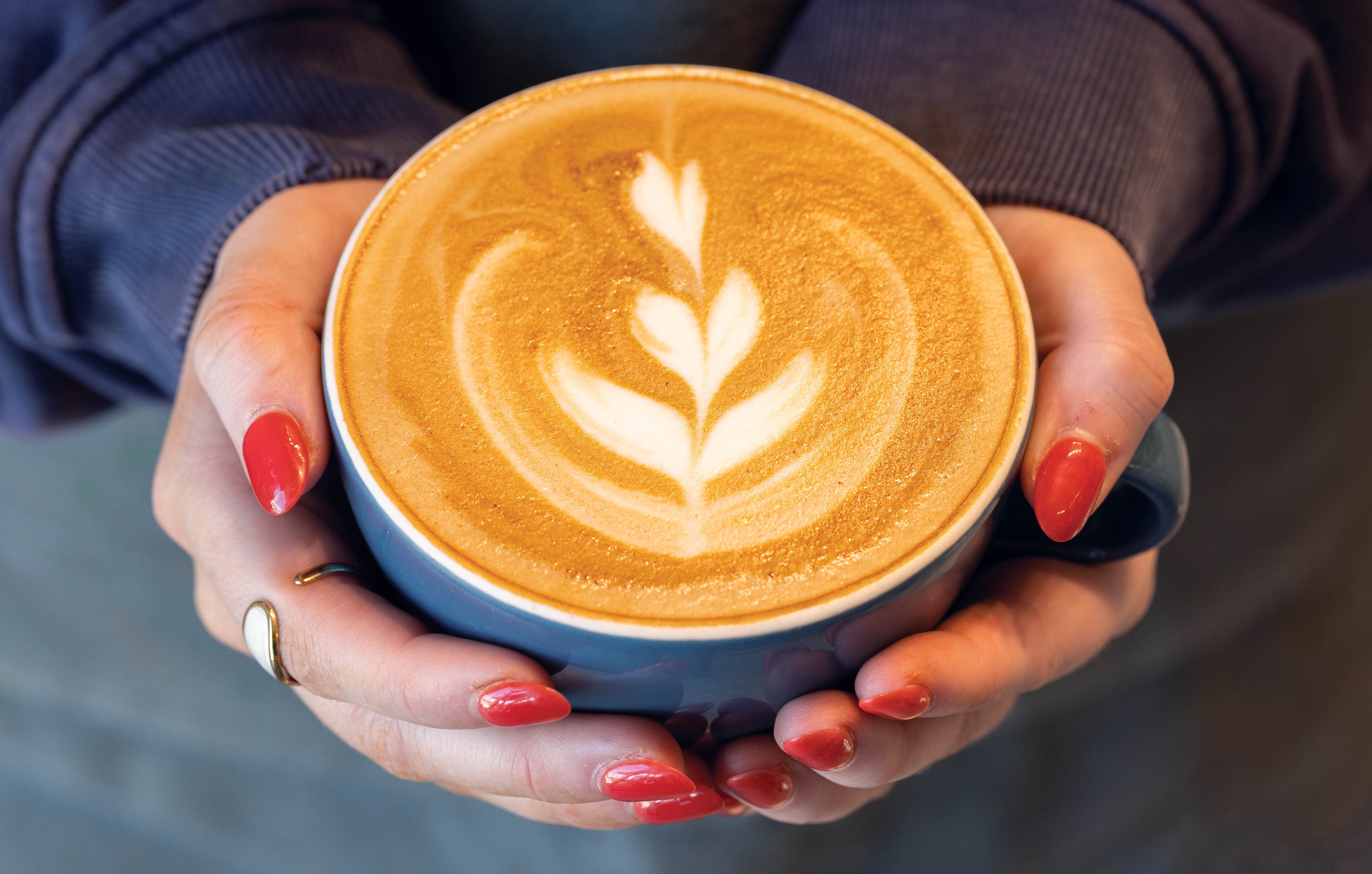 Coffee cup held in woman's hands