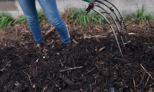 How You Can Help with Springfield, Missouri's Food Waste