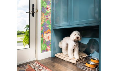 Create a pet-friendly home with tips from these experts.