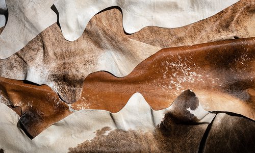 Cowhide Rugs Available at Mouery's Flooring in Springfield, MO