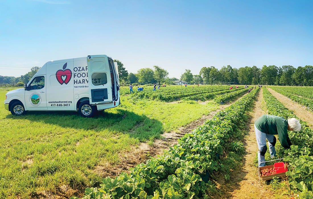 Ozarks Food Harvest Full Circle Garden