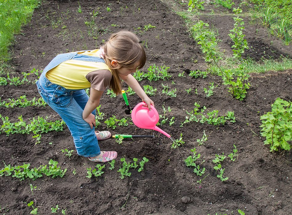 young girl watering a garden