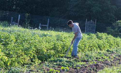 Inside East Wind, Tecumseh's Intentional Community