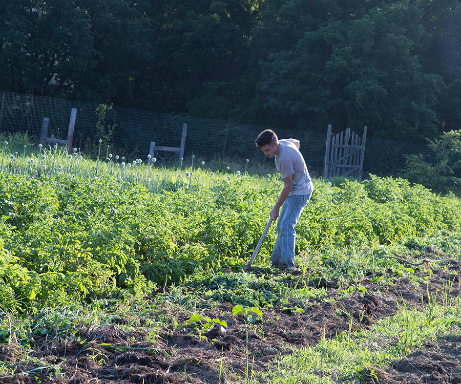 Uqi works in the lower gardens at East Wind.