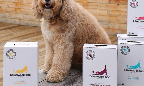 Dog posing with Downward Dog boxed wine