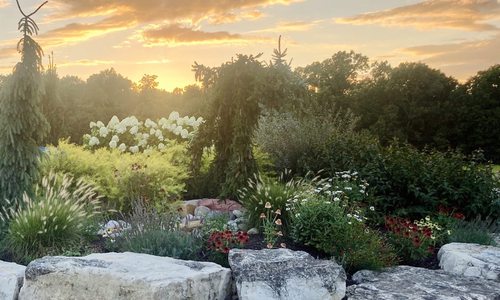 Garden designed by Grass Roots