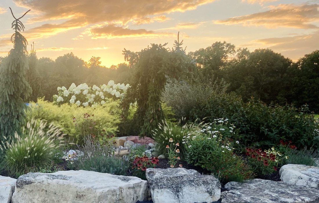 Garden designed by Grass Roots