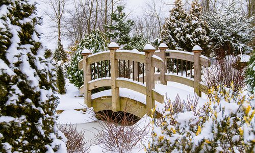 Springfield Botanical Garden covered with snow