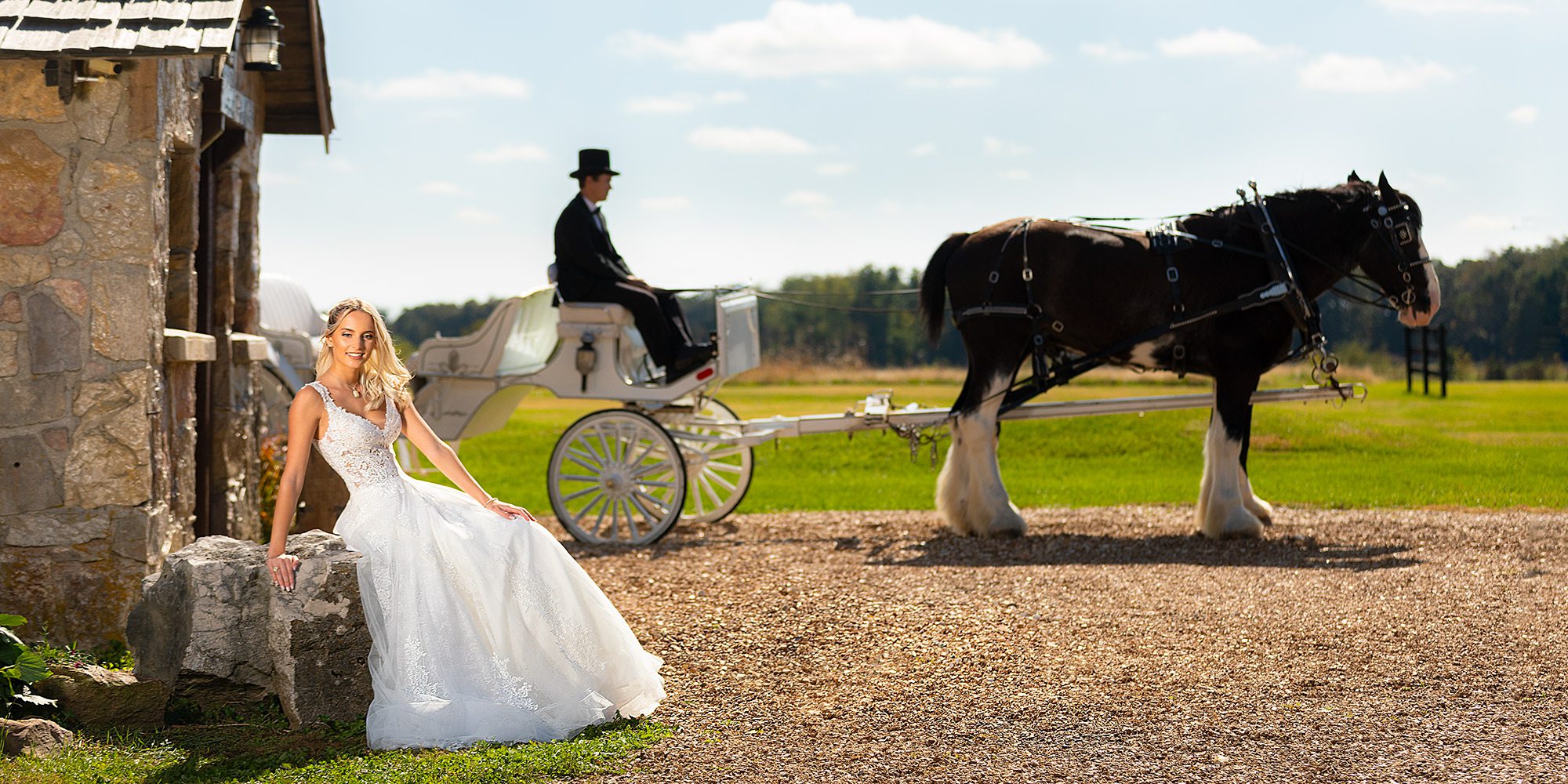 Alita gown with lace bodice with a horse and buggy by Shires For Hire