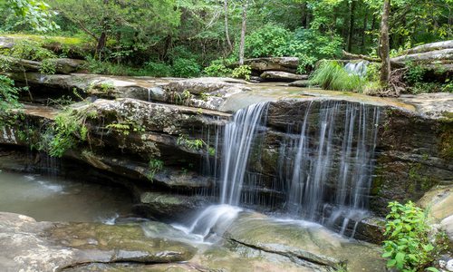 Shawnee National Forest in Illinois