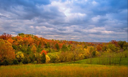 Take an Autumn Stroll in Lost Hill Park