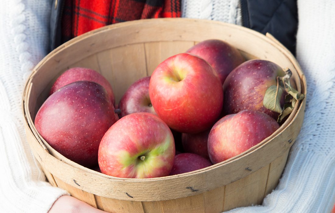 basket of apples