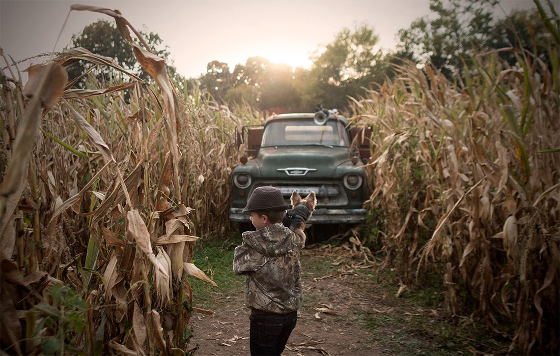 child in a corn maze