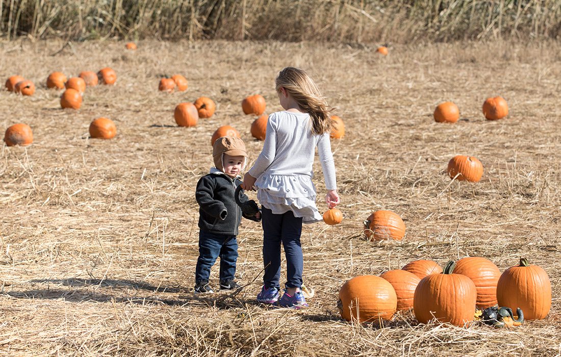 kids at a pumpkin patch