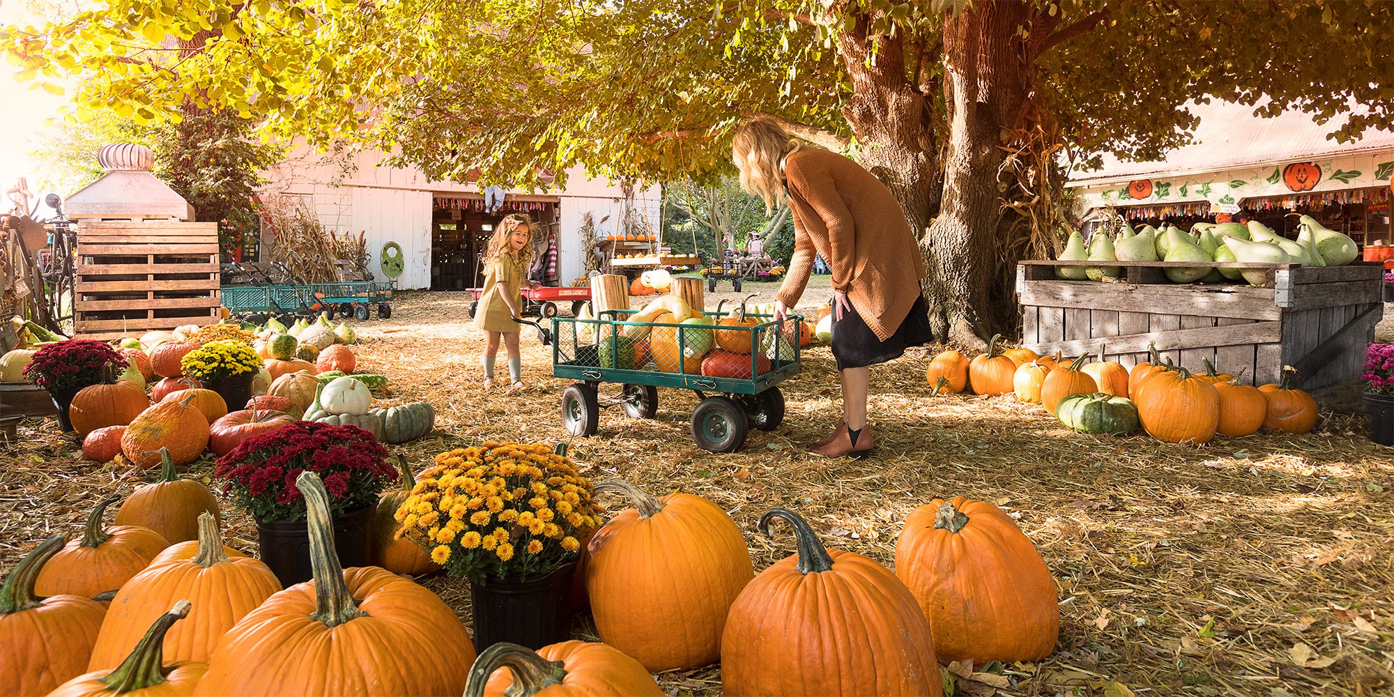 mother and daughter at a pumpkin patch