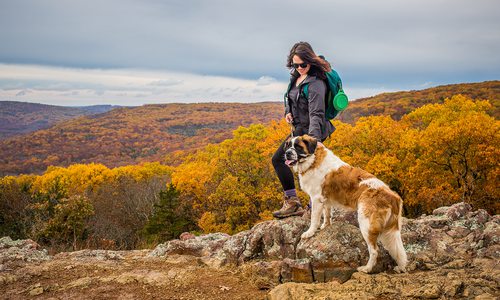 Woman and dog at overlook on Mina Sauk Falls Trail in Missouri